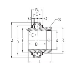 Bearing GNE50-KRRB NKE