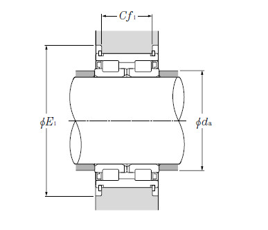 Bearing SL04-5060NR