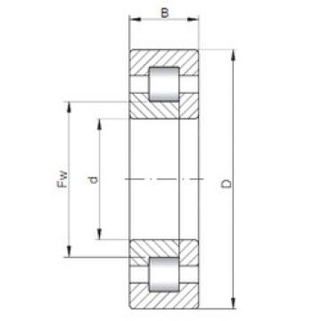 Bearing NUP248 ISO