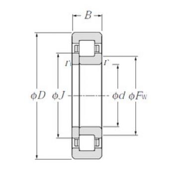 Bearing NUP238 CYSD