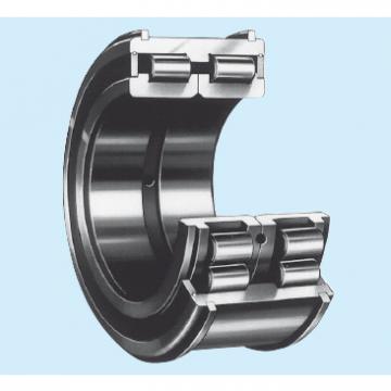 Bearing NNCF4980V