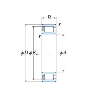 Bearing NCF1864V