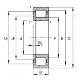 Bearing NUP244-E-M1 FAG