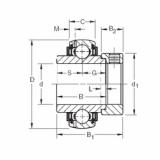 Bearing GN103KLLB Timken