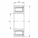 Bearing NCF1844 V ISO