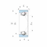 Bearing VTAA19Z-3A NSK