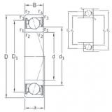 Bearing VEB 80 /S 7CE1 SNFA