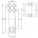 Bearing VEB 55 7CE1 SNFA