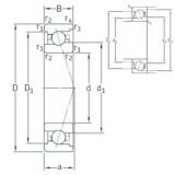 Bearing VEX 110 /NS 7CE1 SNFA