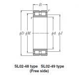 Bearing SL02-4934