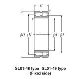 Bearing SL01-4968